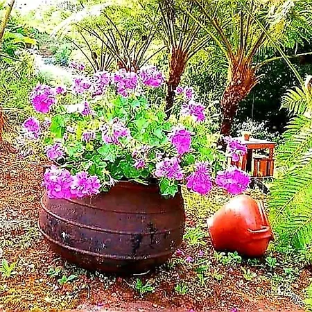 Charming With Mountain View In Garden Villa *