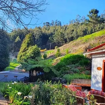 Charming With Mountain View In Garden * Camacha (Madeira)