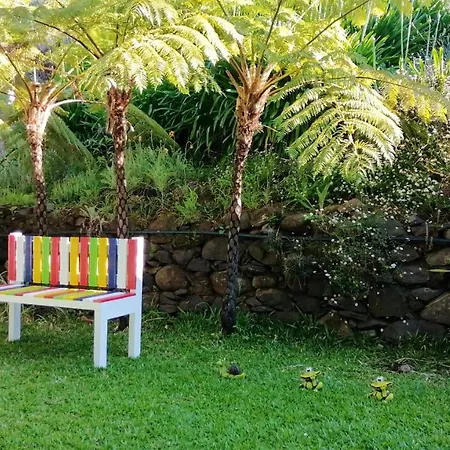Charming With Mountain View In Garden * Camacha (Madeira)
