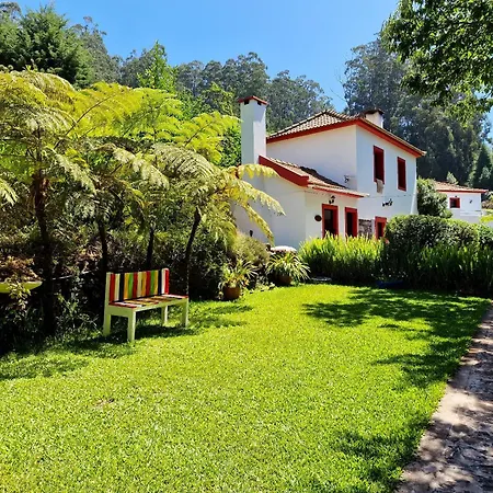 Charming With Mountain View In Garden Villa Camacha (Madeira)